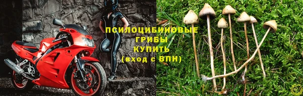прущий лед Вязьма