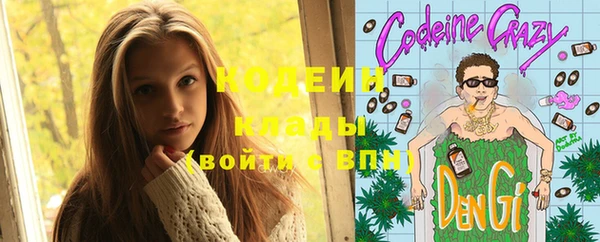 прущий лед Вязьма