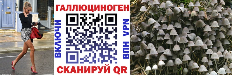 Купить закладки Лабинск Галлюциногенные грибы Cubensis